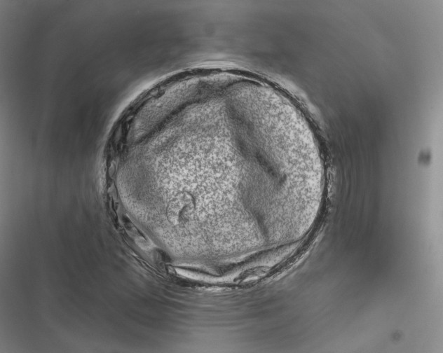 X0000116871167201001121255