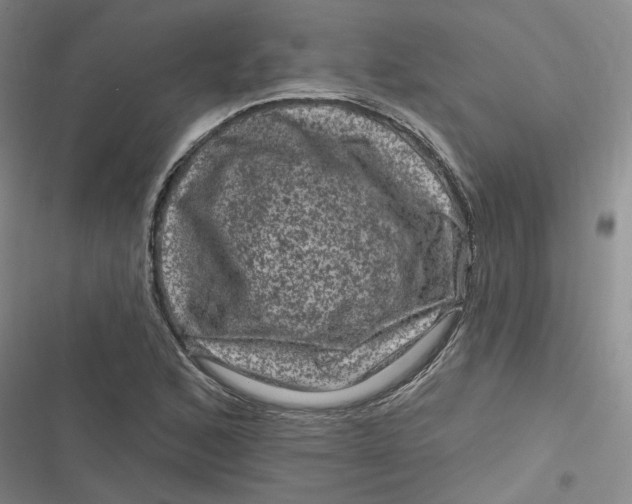 X0000116871168201001121255