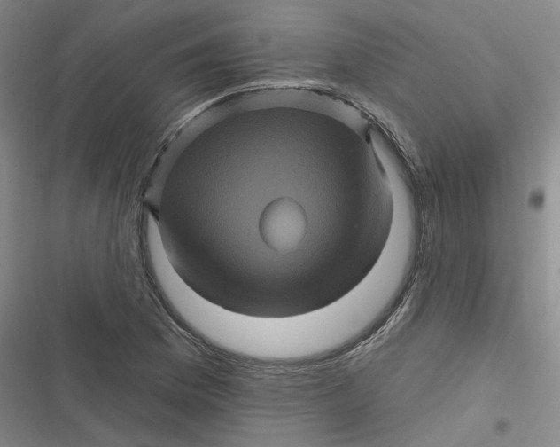 X0000116871169201001121255