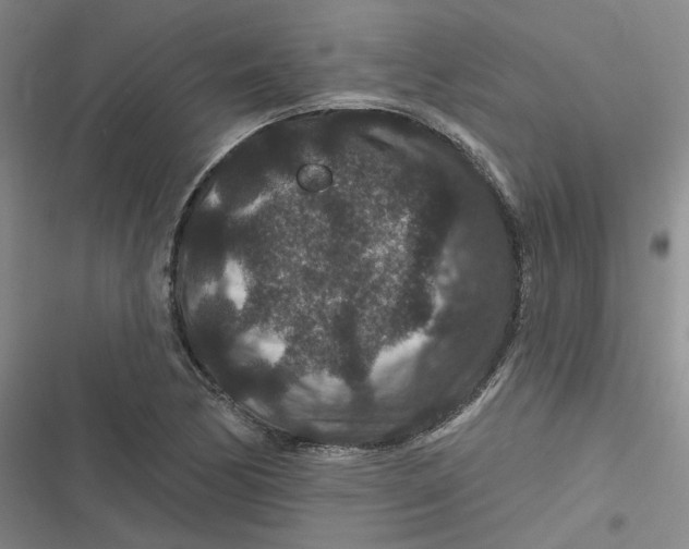 X0000116871170201001121255