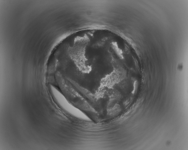 X0000116871171201001121255