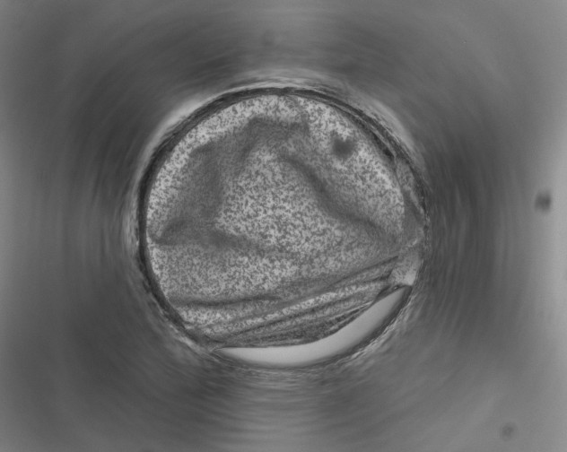 X0000116871172201001121255