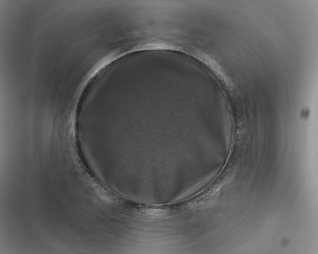 X0000116871173201001121255