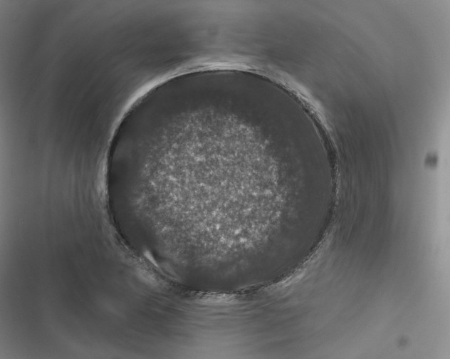 X0000116871174201001121255