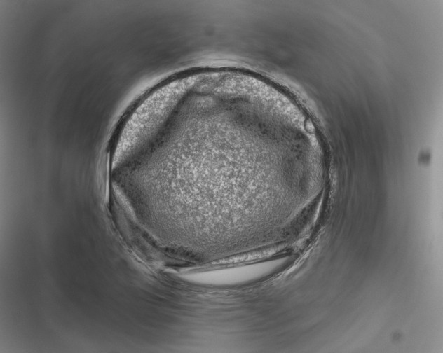 X0000116871175201001121255