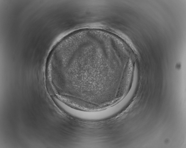 X0000116871176201001121255