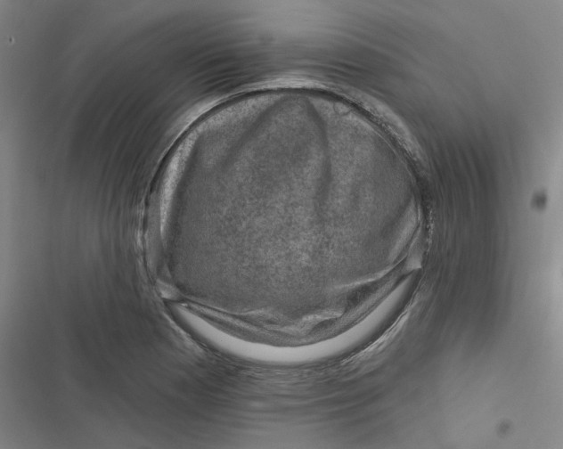 X0000116871177201001121255