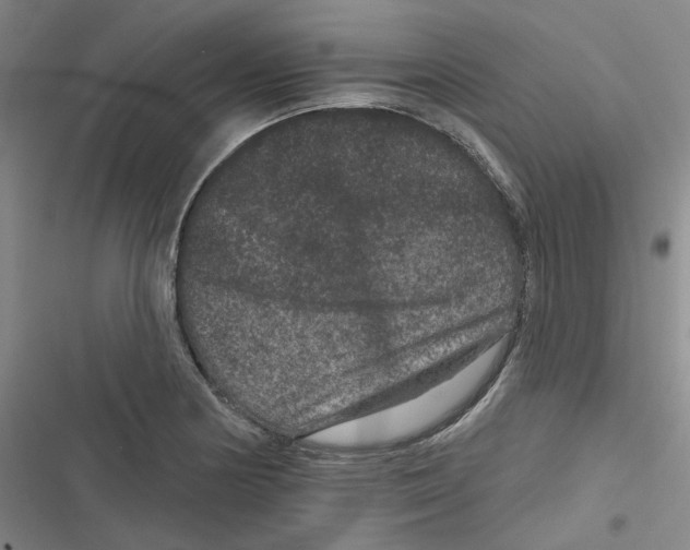 X0000116871178201001121255