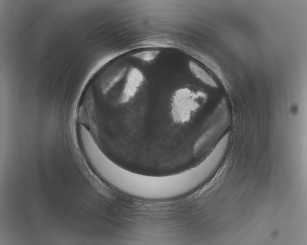 X0000116871179201001121255