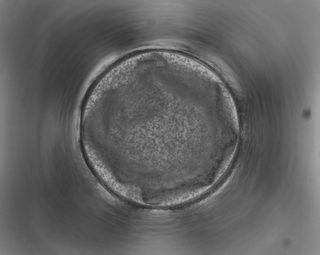 X0000116871180201001121255