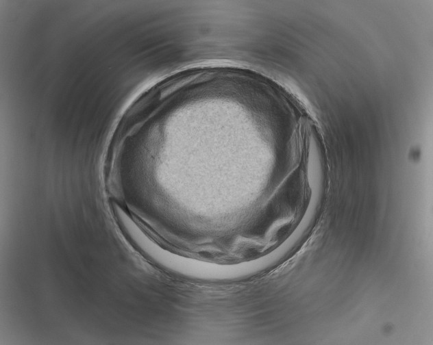 X0000116871181201001121255