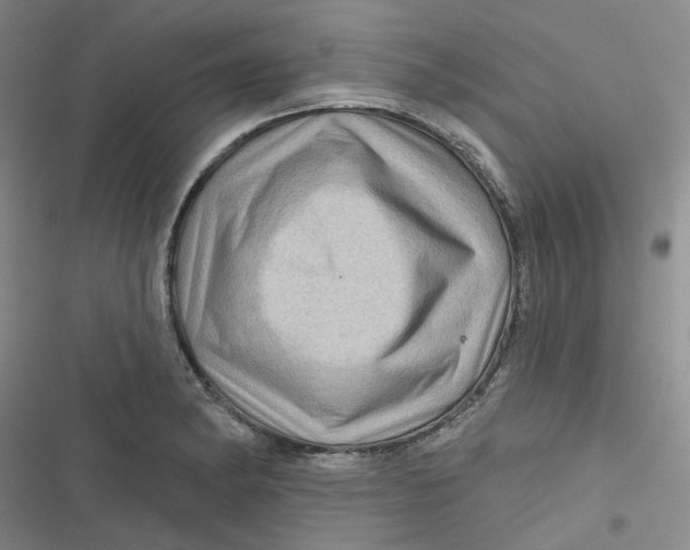 X0000116871182201001121255