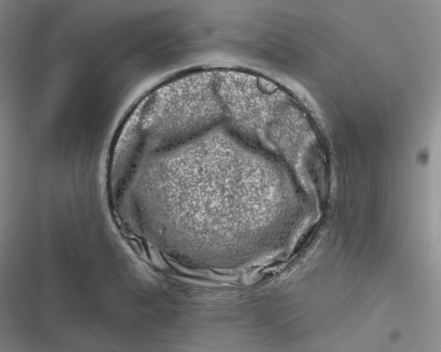 X0000116871183201001121255