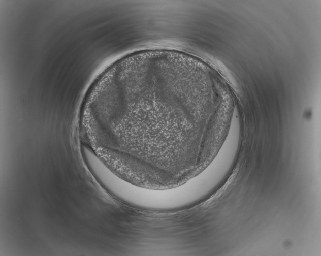 X0000116871184201001121255