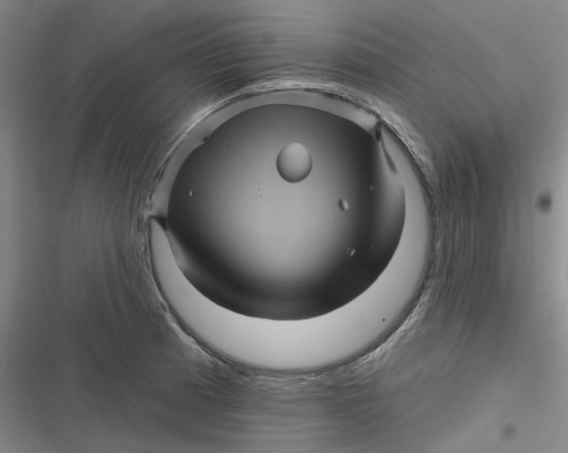 X0000116871185201001121255