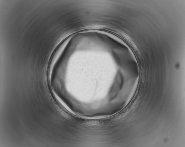 X0000116871186201001121255