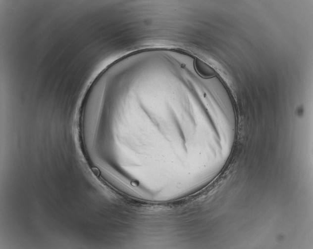 X0000116871187201001121255