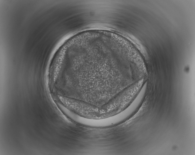 X0000116871188201001121255