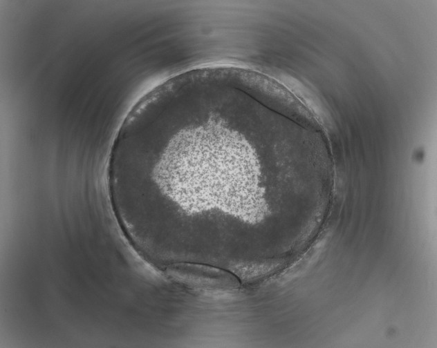 X0000116871189201001121255