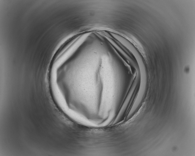 X0000116871190201001121255