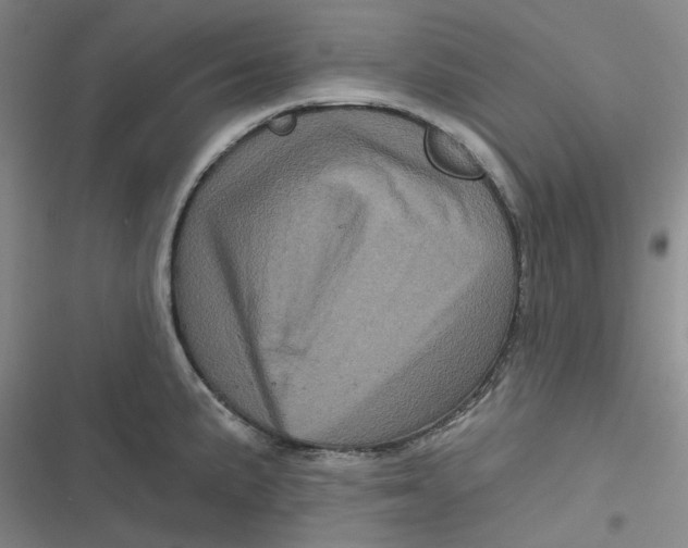 X0000116871191201001121255