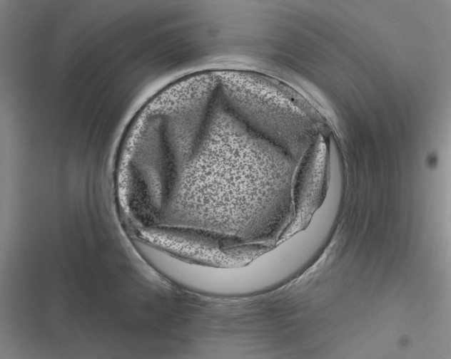 X0000116871192201001121255