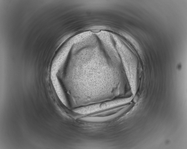 X0000116871193201001121255