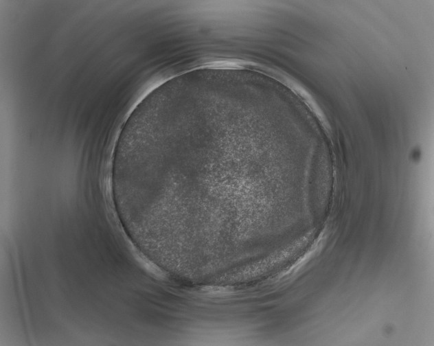 X0000116871194201001121255