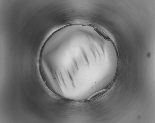 X0000116871195201001121255