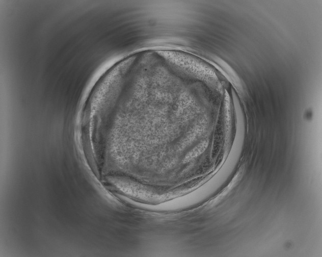 X0000116871196201001121255