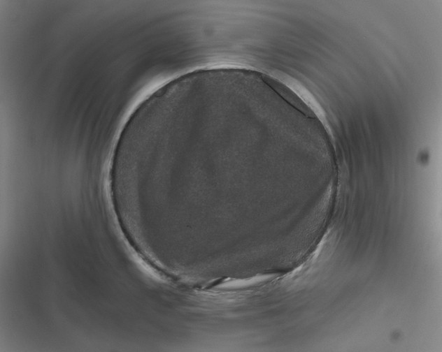 X0000116871197201001121255