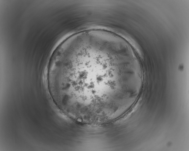 X0000116871198201001121255