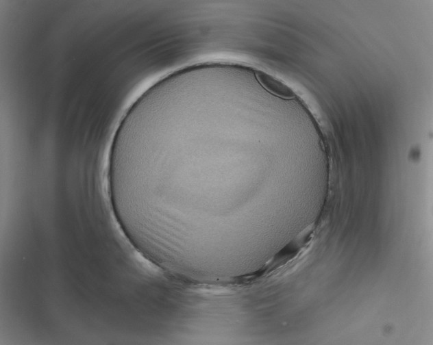 X0000116871199201001121255