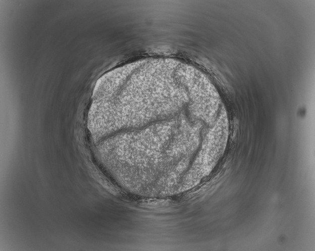 X0000116871201201001121254