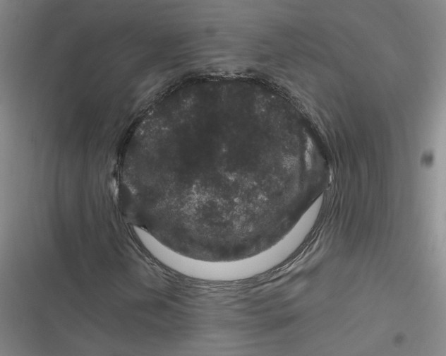 X0000116871202201001121254