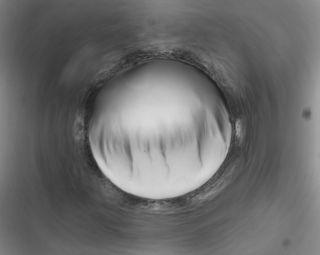 X0000116871203201001121254