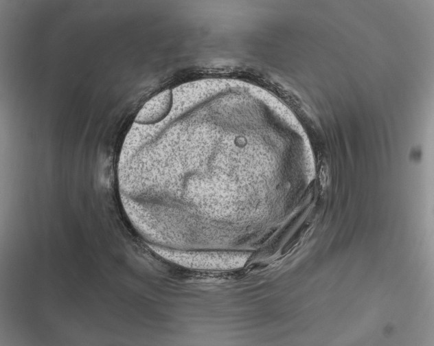 X0000116871204201001121254