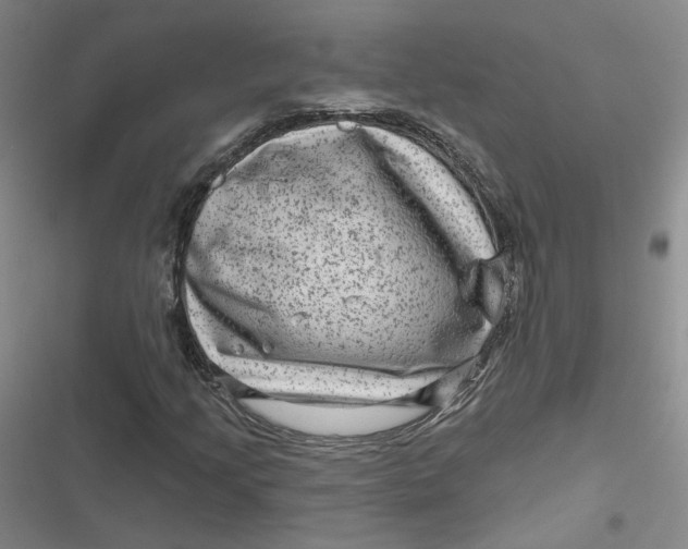 X0000116871205201001121254