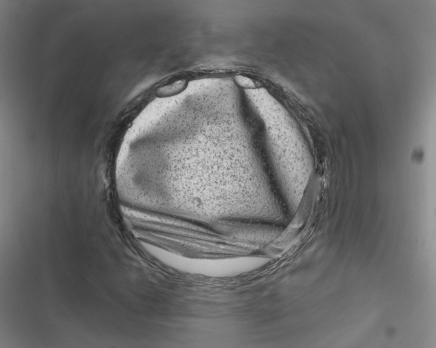 X0000116871206201001121254