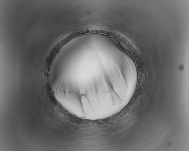 X0000116871207201001121254