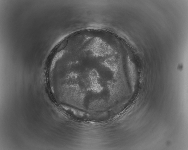 X0000116871208201001121254