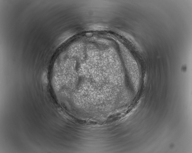 X0000116871209201001121254