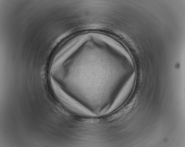 X0000116871210201001121254