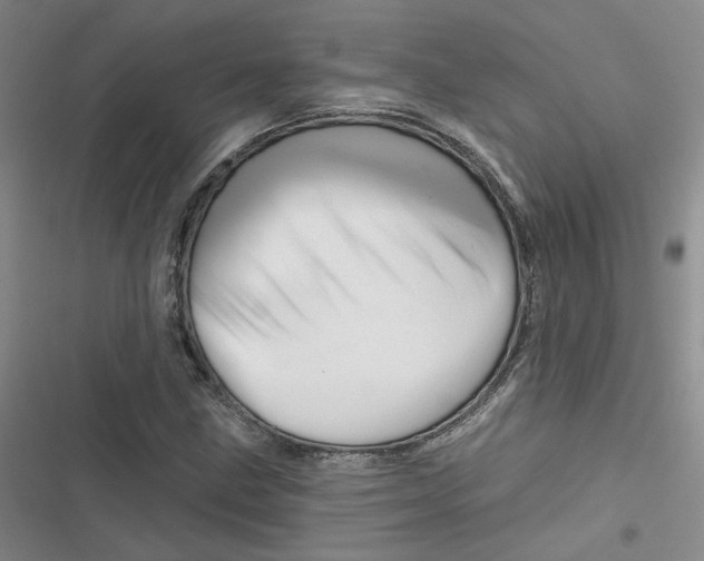 X0000116871211201001121254