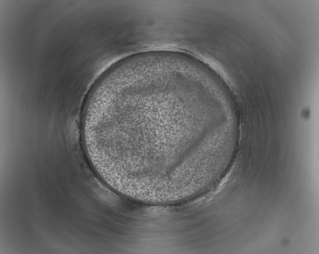 X0000116871212201001121254