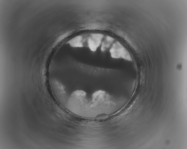 X0000116871213201001121254