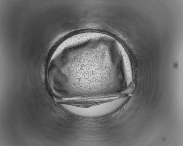 X0000116871214201001121254