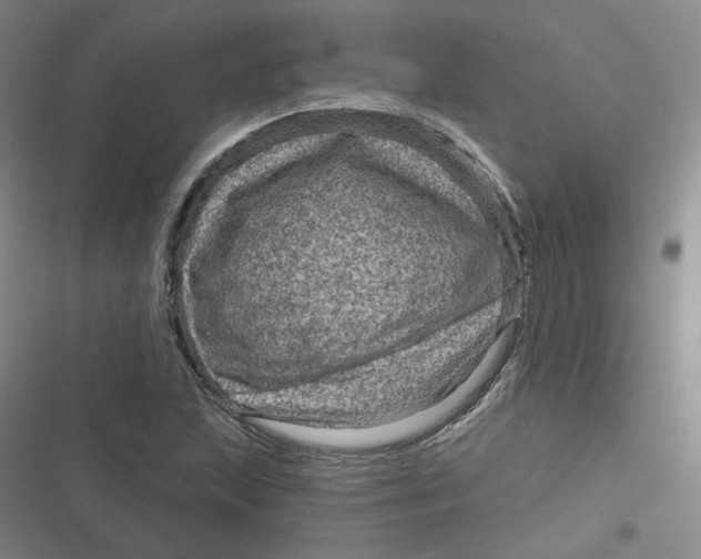 X0000116871215201001121254