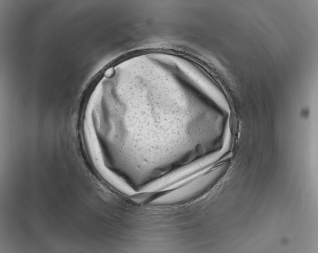 X0000116871216201001121254