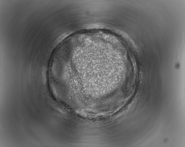 X0000116871217201001121255